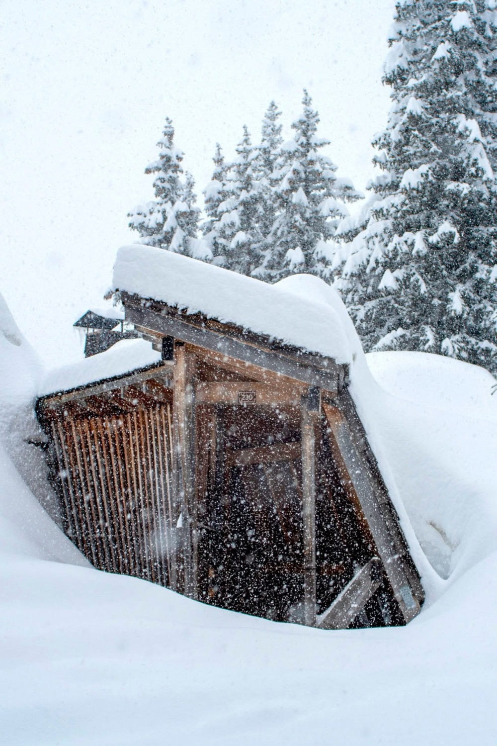 Avoriaz